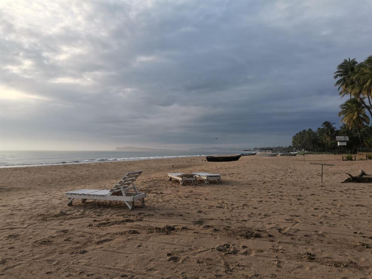 Bashi Eco Campsite *
